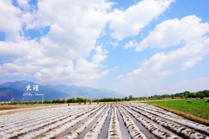 彩云以南,我们终于出发の我带着你,你带着钱!