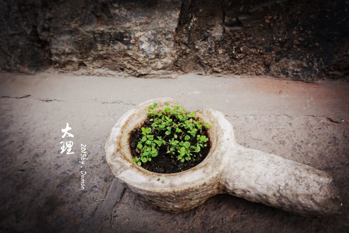 彩云以南,我们终于出发の我带着你,你带着钱!