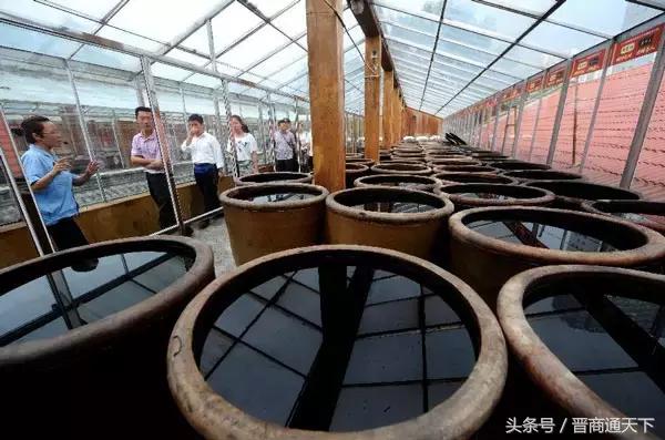 山西老陈醋到底有多牛,你知道么?