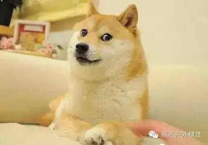 ispo德国金奖,ispo展会回顾