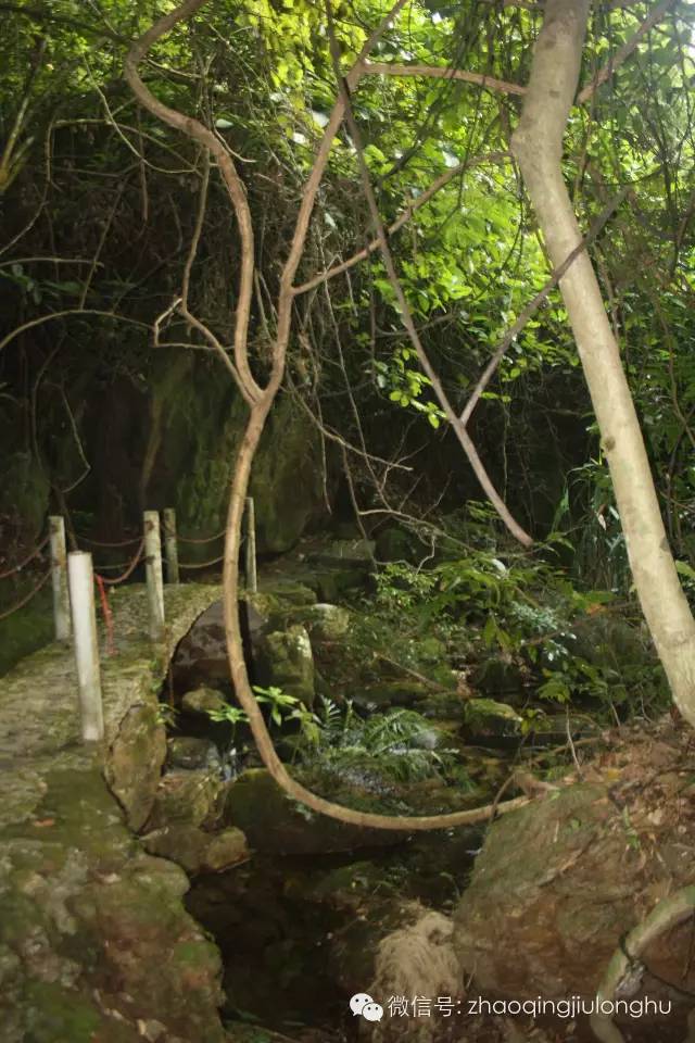 国庆期间花果山属猴的免门票吗,属猴的去花果山要门票吗