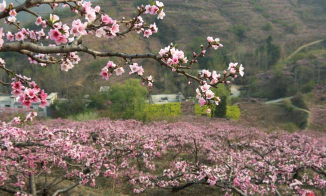 春暖花开踏青正当时完整版,春暖花开踏青季攻略