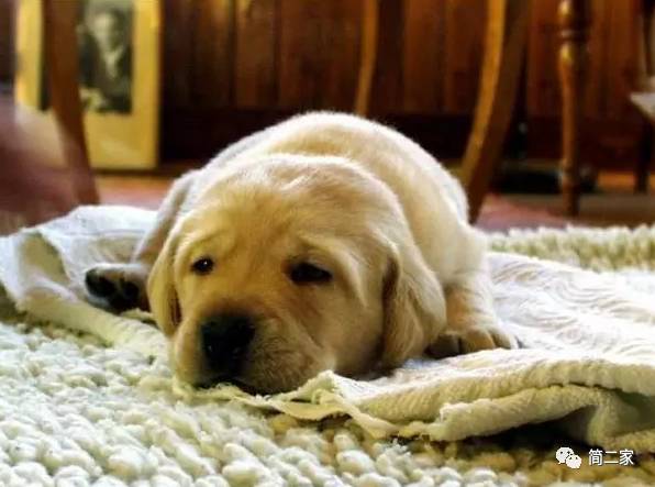 在春天来之前，一定要把家里这15件东西全都换掉！