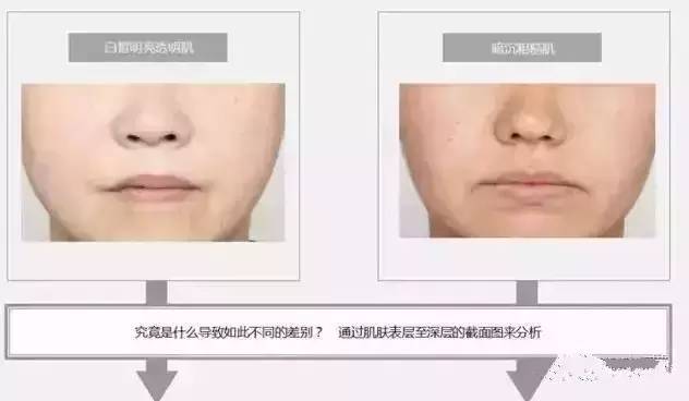 pola都什么系列,pola最好用的单品