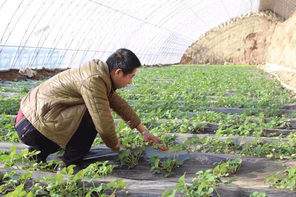 河南光伏小镇,双庙村航拍