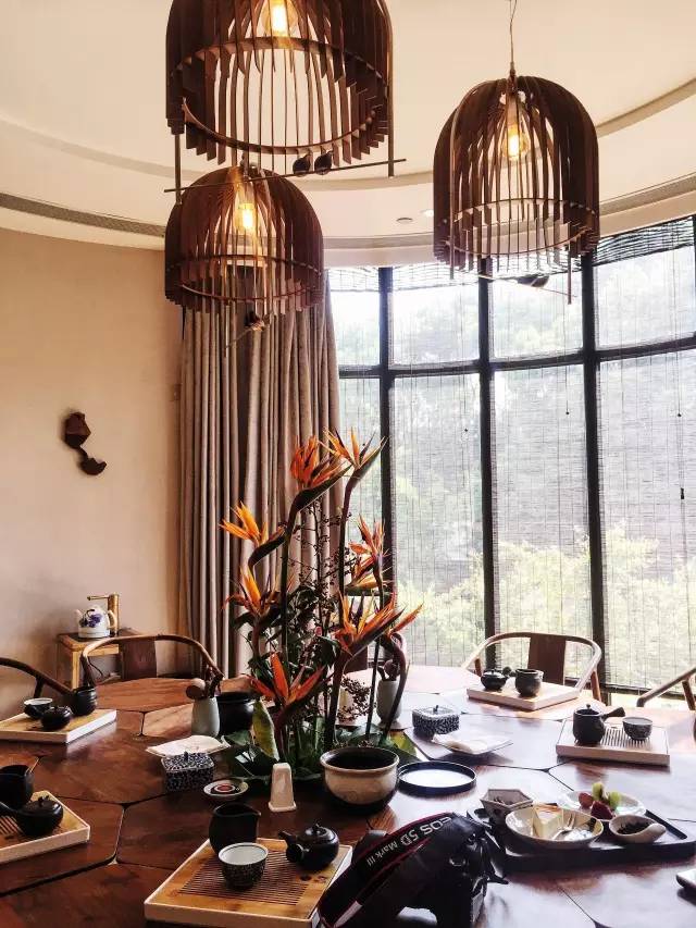 单身狗慎入系列,单身狗慎入