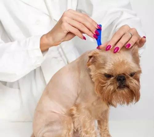 抚养婴儿方法和技巧,抚养婴儿要注意什么