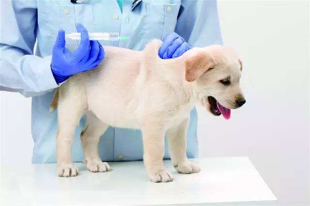 抚养婴儿方法和技巧,抚养婴儿要注意什么