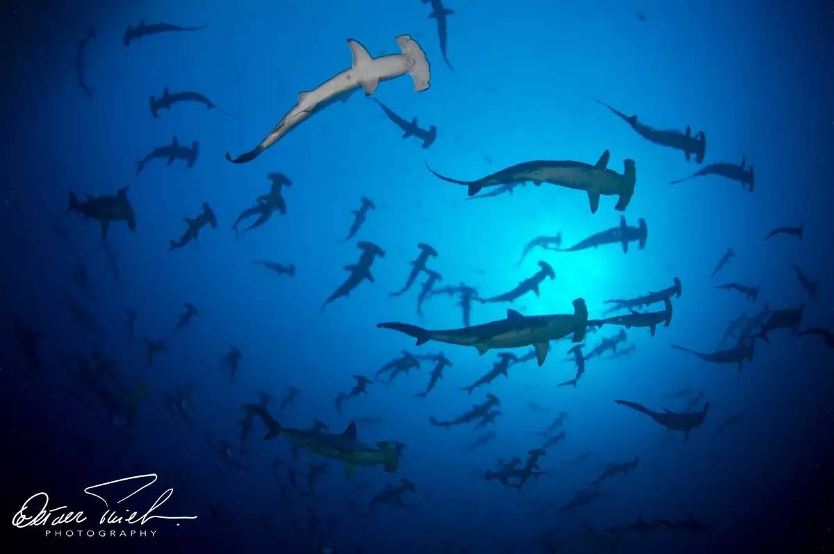 自由摄影师怎么挣钱,摄影师这行真的不挣钱吗