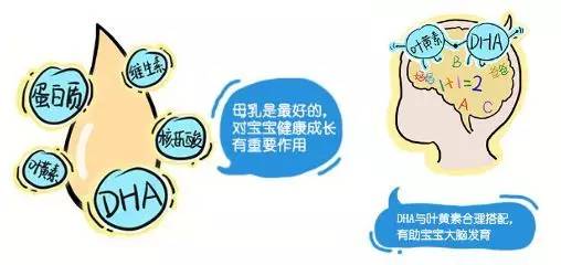 海关教你如何选购进口婴幼儿奶粉,国家是怎样检测进口奶粉