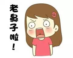 我大黑河的东北话，就是这么搞siào！