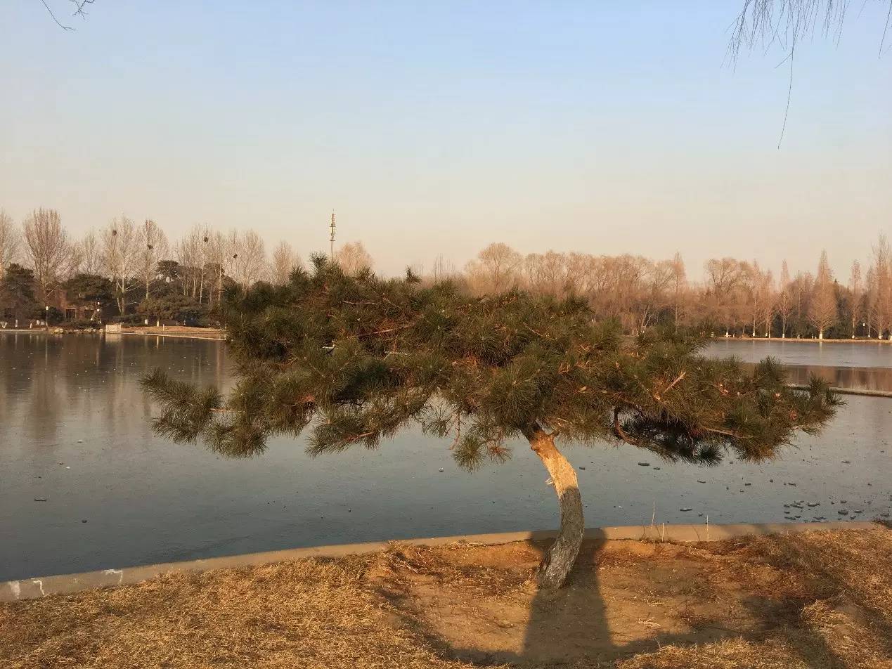 大风车2016视频,大风车2007年视频