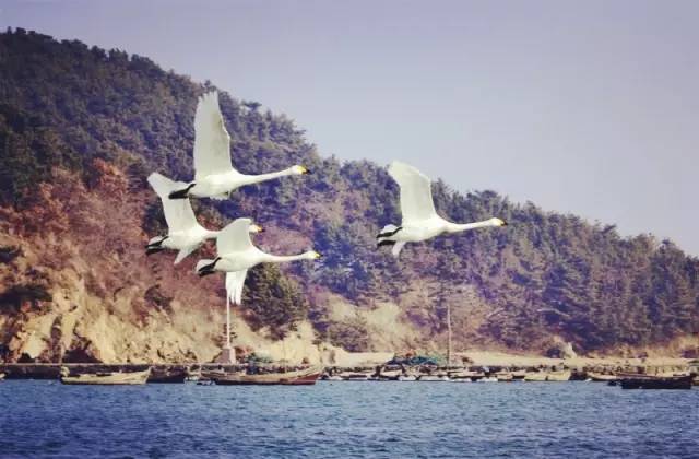 从临沂出发6天攻略,从临沂出发10天旅游最佳路线图