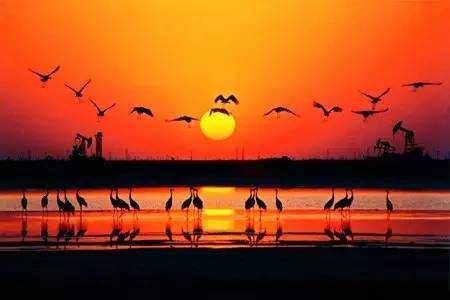 从临沂出发6天攻略,从临沂出发10天旅游最佳路线图