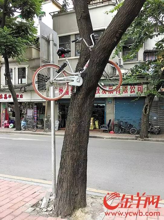 芜湖市免费共享单车,共享单车40万辆涌入广州