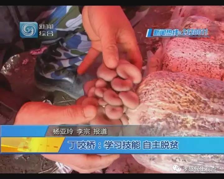 看看大叔是怎么逆袭的,小伙农村脱贫致富成长记