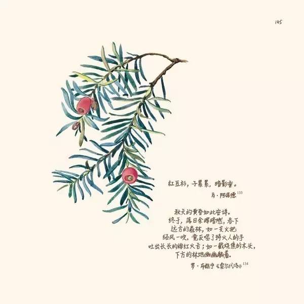 英伦乡野手记,英伦乡野手记读后感