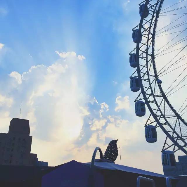 单身狗慎入系列,单身狗慎入