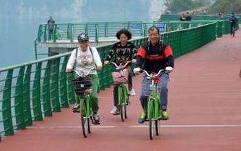 柳州如何扫码租车,柳州1元扫码租车