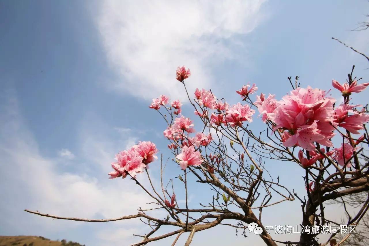 顶级赛车赛事盛况,世界顶级车展最新消息