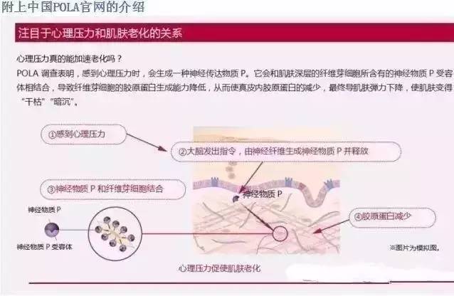 pola都什么系列,pola最好用的单品