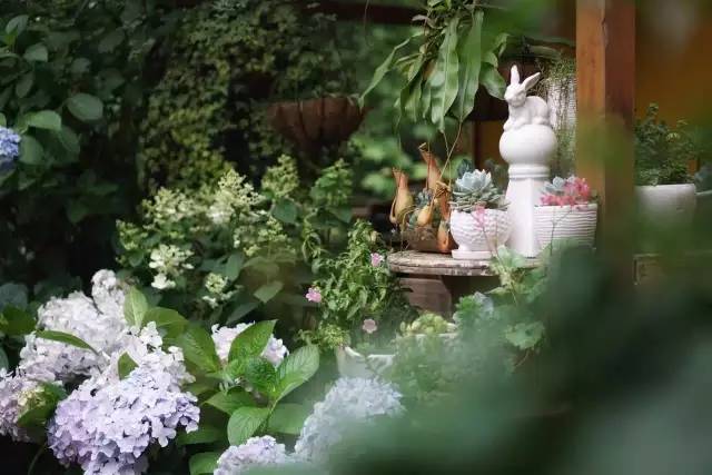 一定要带别人女朋友去的5大民宿,适合跟女朋友去的民宿