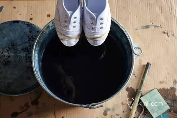 靛蓝染色教程,靛蓝制作原料