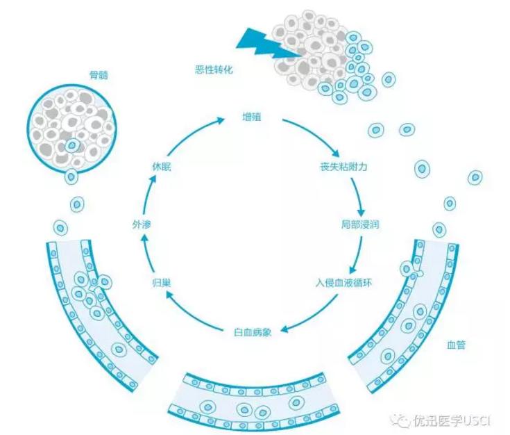 液体ctc循环肿瘤细胞检测靠谱吗,液体活检dna检测准确性