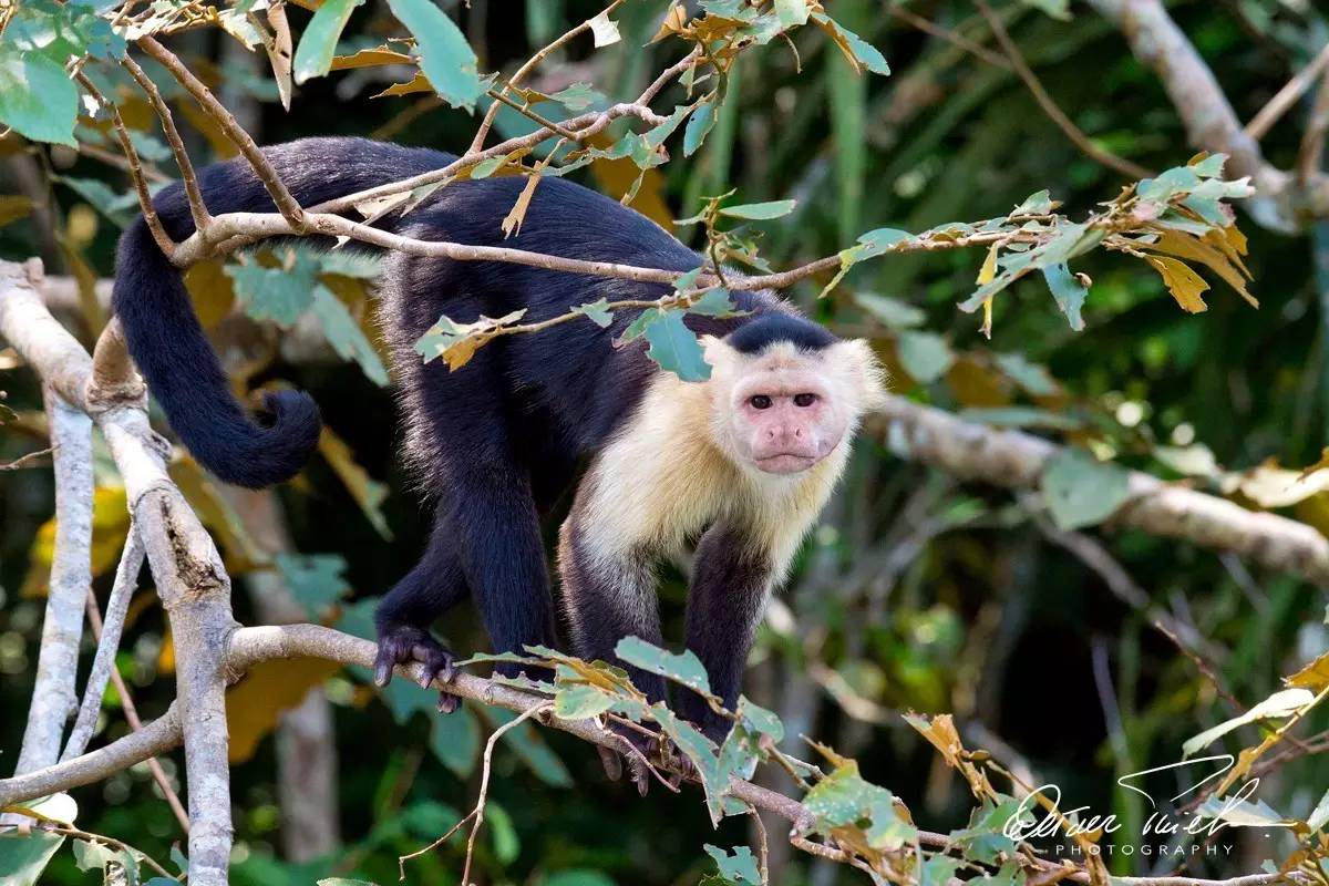 自由摄影师怎么挣钱,摄影师这行真的不挣钱吗