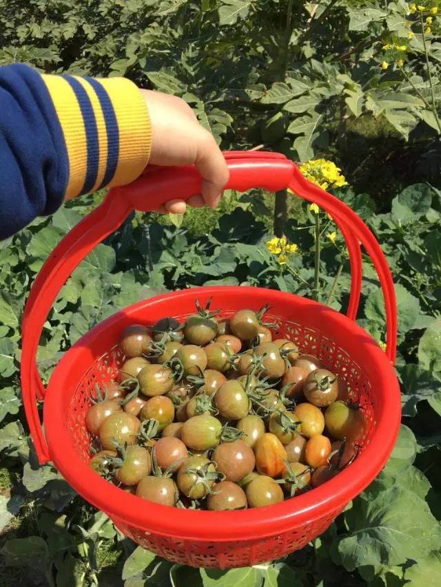 女神节我们用心为你们准备的礼物,女神节到了请查收宝贝们的礼物