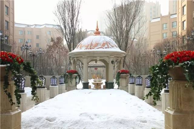 高性价比好房地铁口3室首付28万,首付29万二室一厅二卫房源