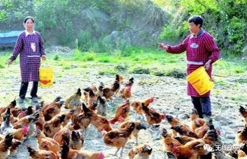 3.15消费指南,巴中这么多产品都被“曝光”啦~