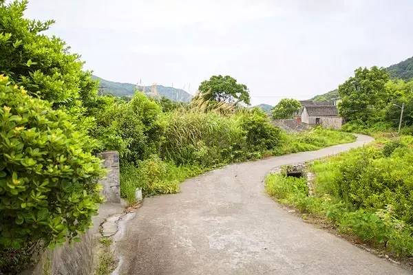 舟山清新海岛旅游攻略,舟山小众海岛游