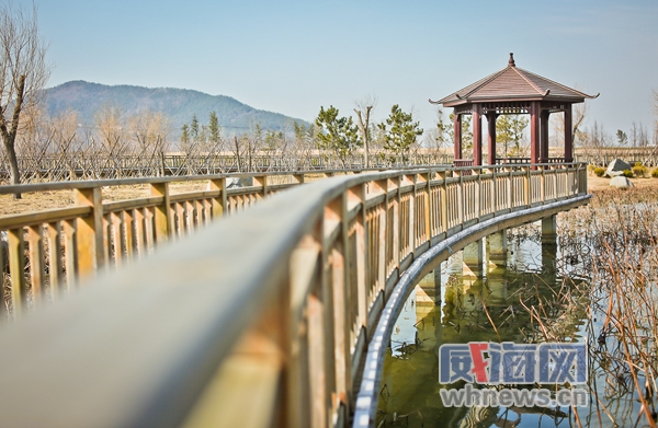 羊亭湿地公园周围的开发规划,羊亭公园最新消息