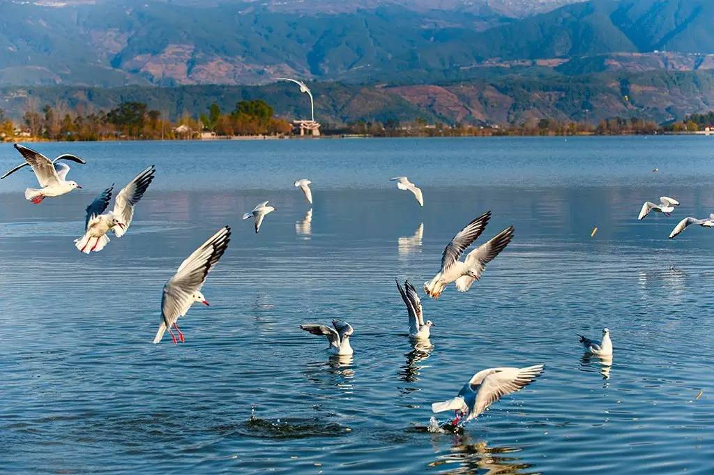 好燃是什么,好燃粤语