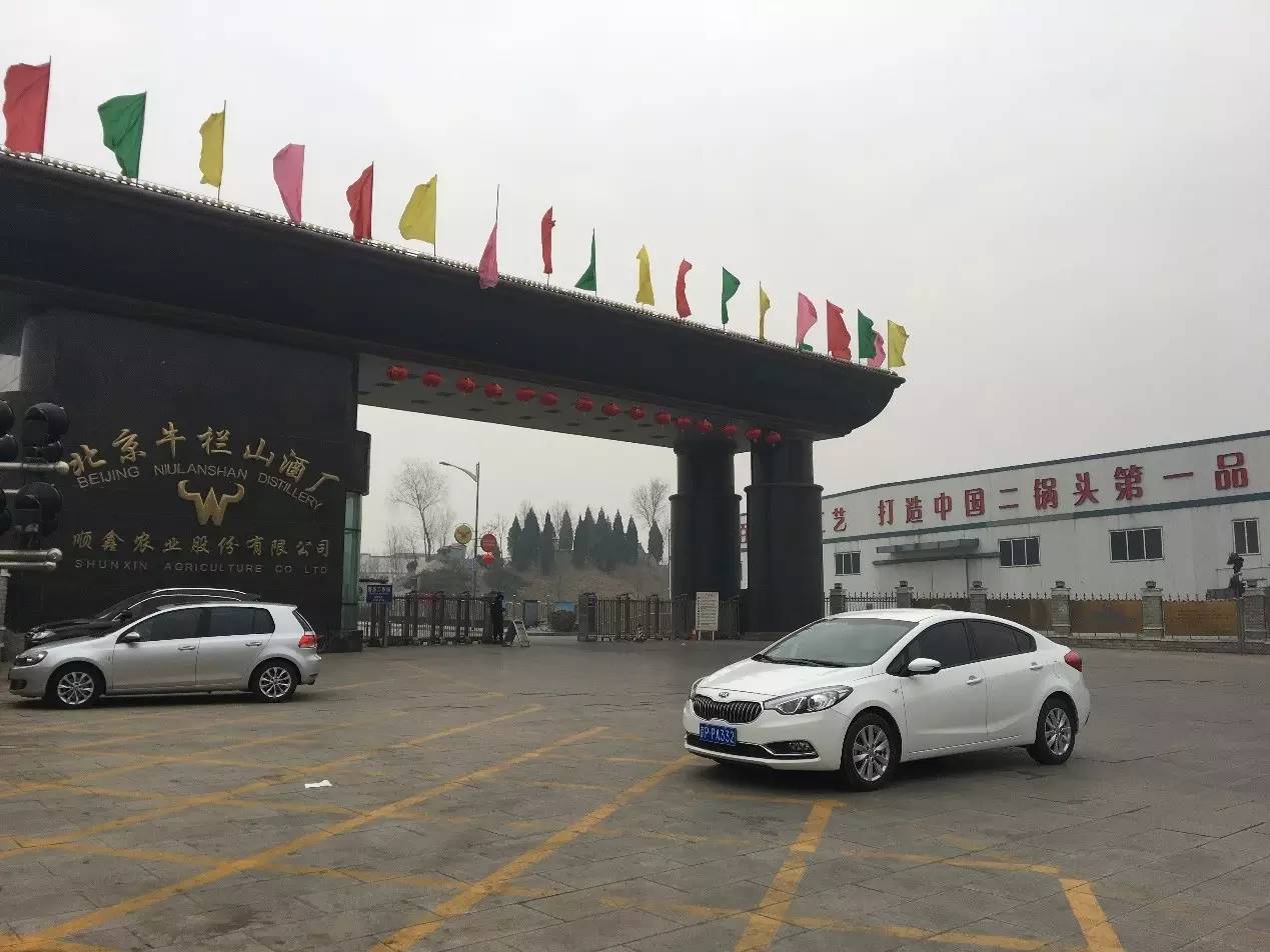 大风车2016视频,大风车2007年视频