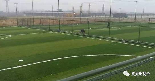 双流东升免费足球场,双流区免费足球场