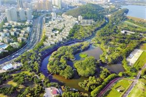 深圳国际湿地城市,深圳城市湿地
