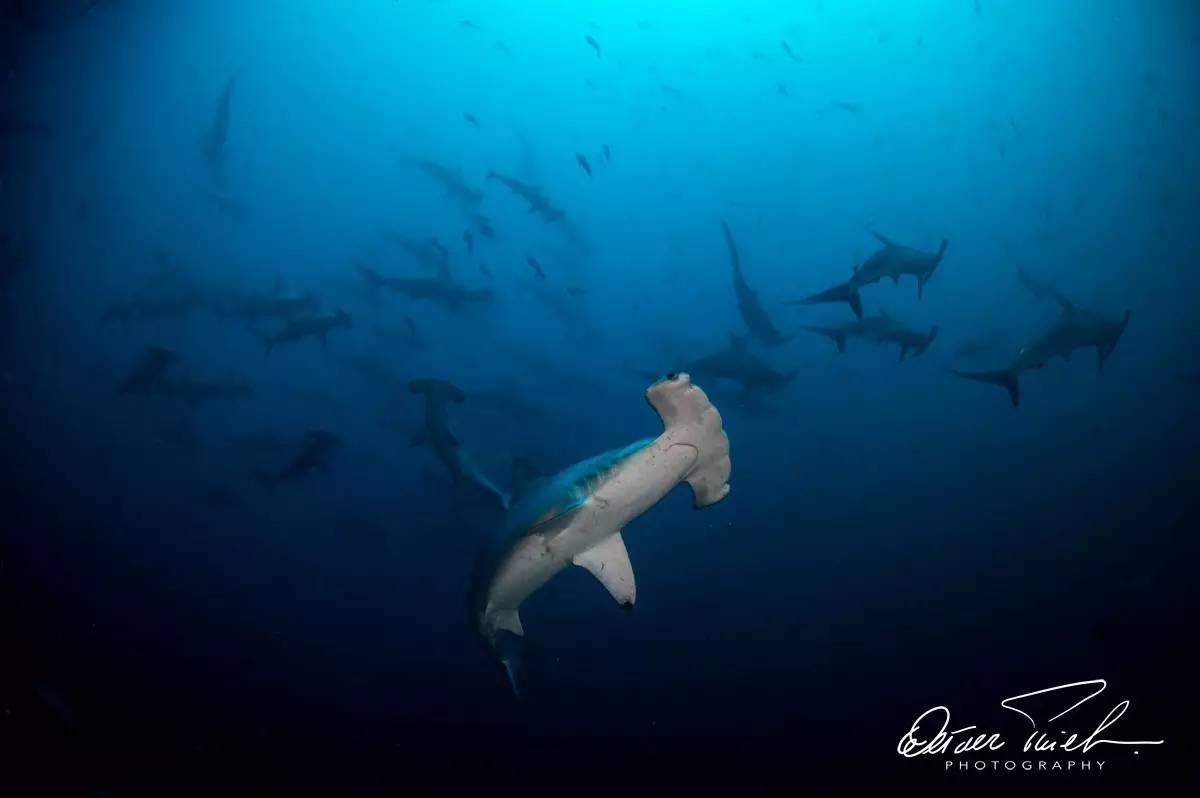 自由摄影师怎么挣钱,摄影师这行真的不挣钱吗