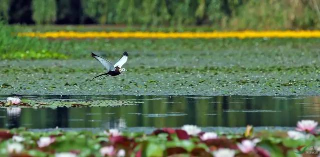 好燃是什么,好燃粤语