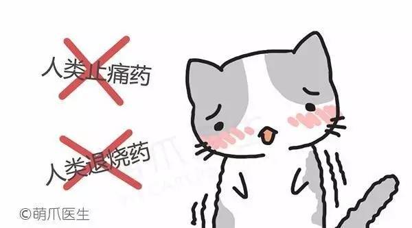 喵的,我都这么痛了!你还看不出来么?!