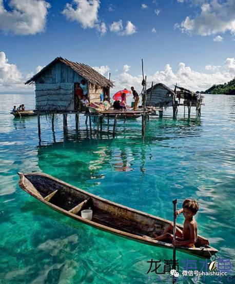 一招搞定水质问题,推荐一款好水