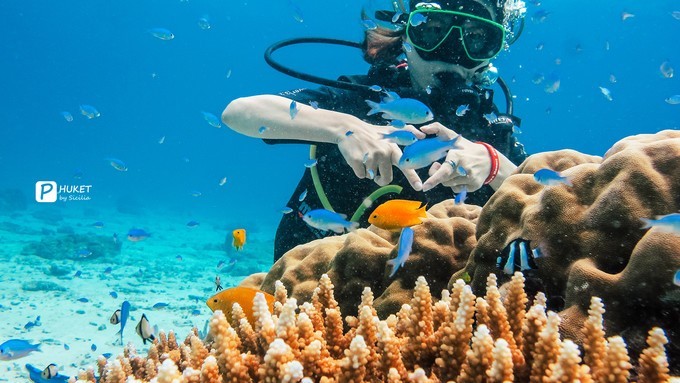 每当海岛又下起了雨,每当海岛又下起了雨读书笔记