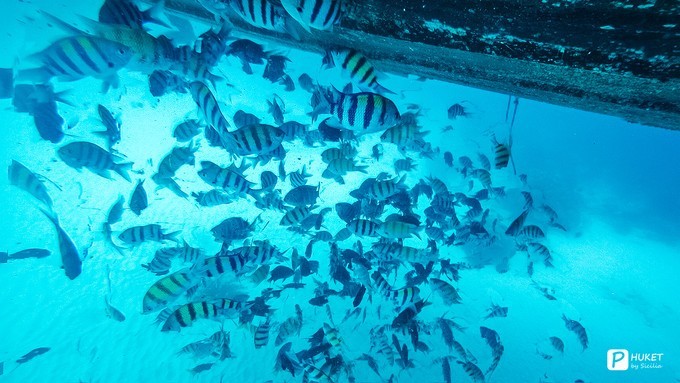 每当海岛又下起了雨,每当海岛又下起了雨读书笔记