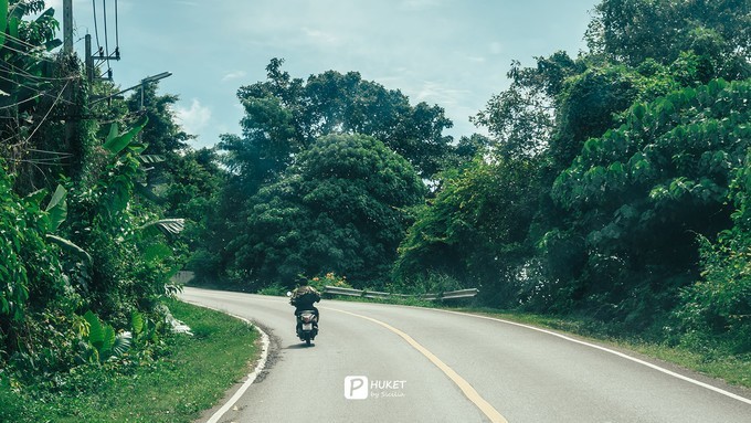 每当海岛又下起了雨,每当海岛又下起了雨读书笔记
