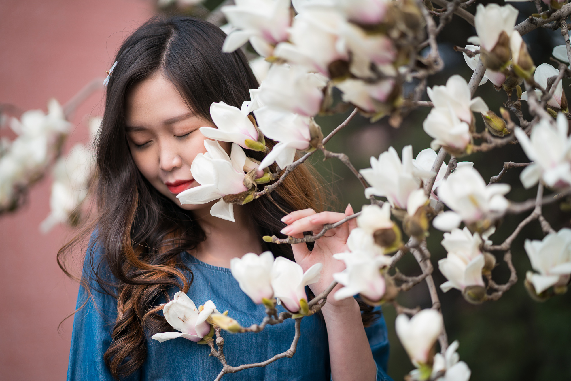 索尼fe85mmf18镜头正式开启预售,索尼fe85mmf1.8风景