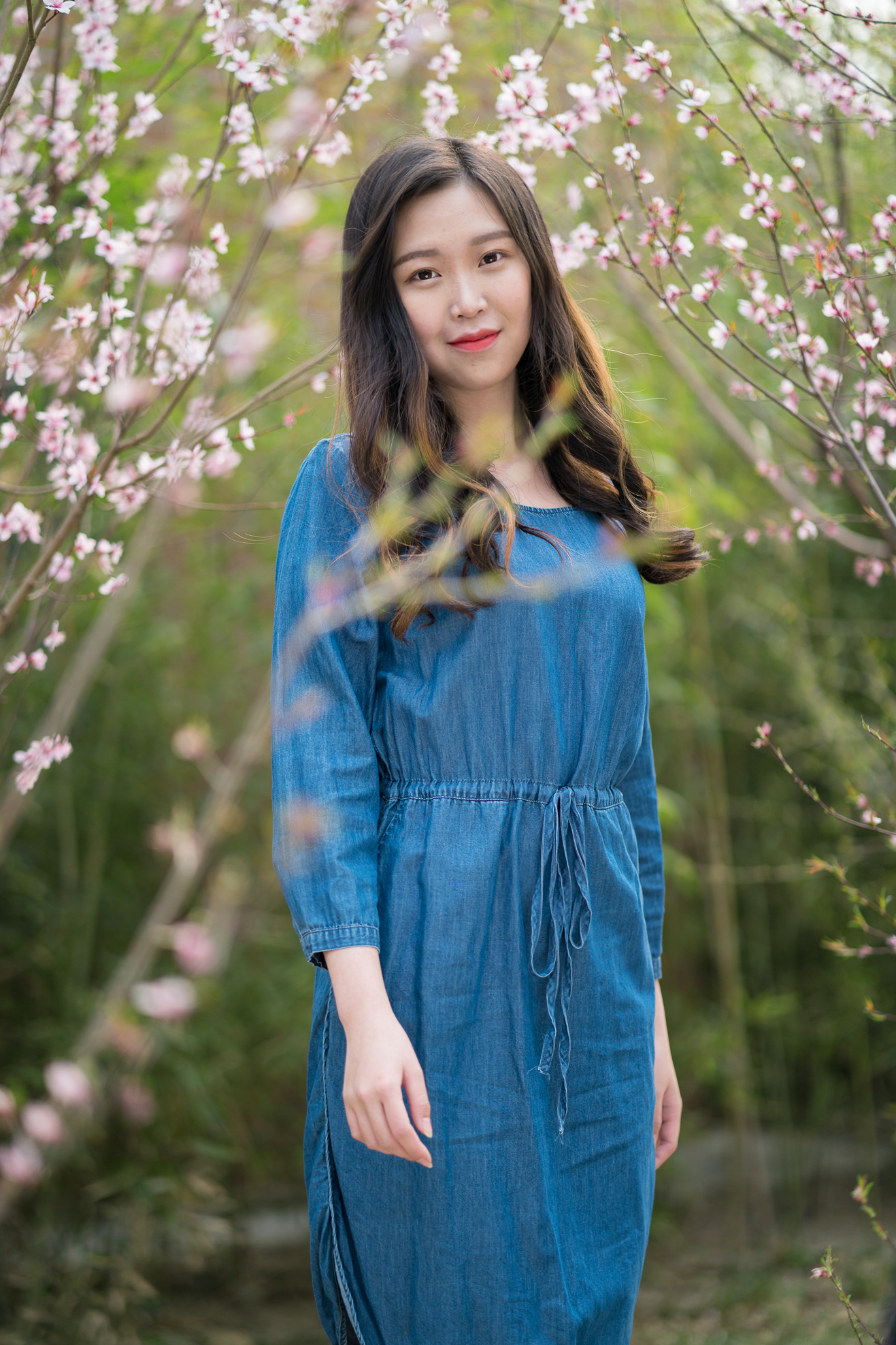 索尼fe85mmf18镜头正式开启预售,索尼fe85mmf1.8风景