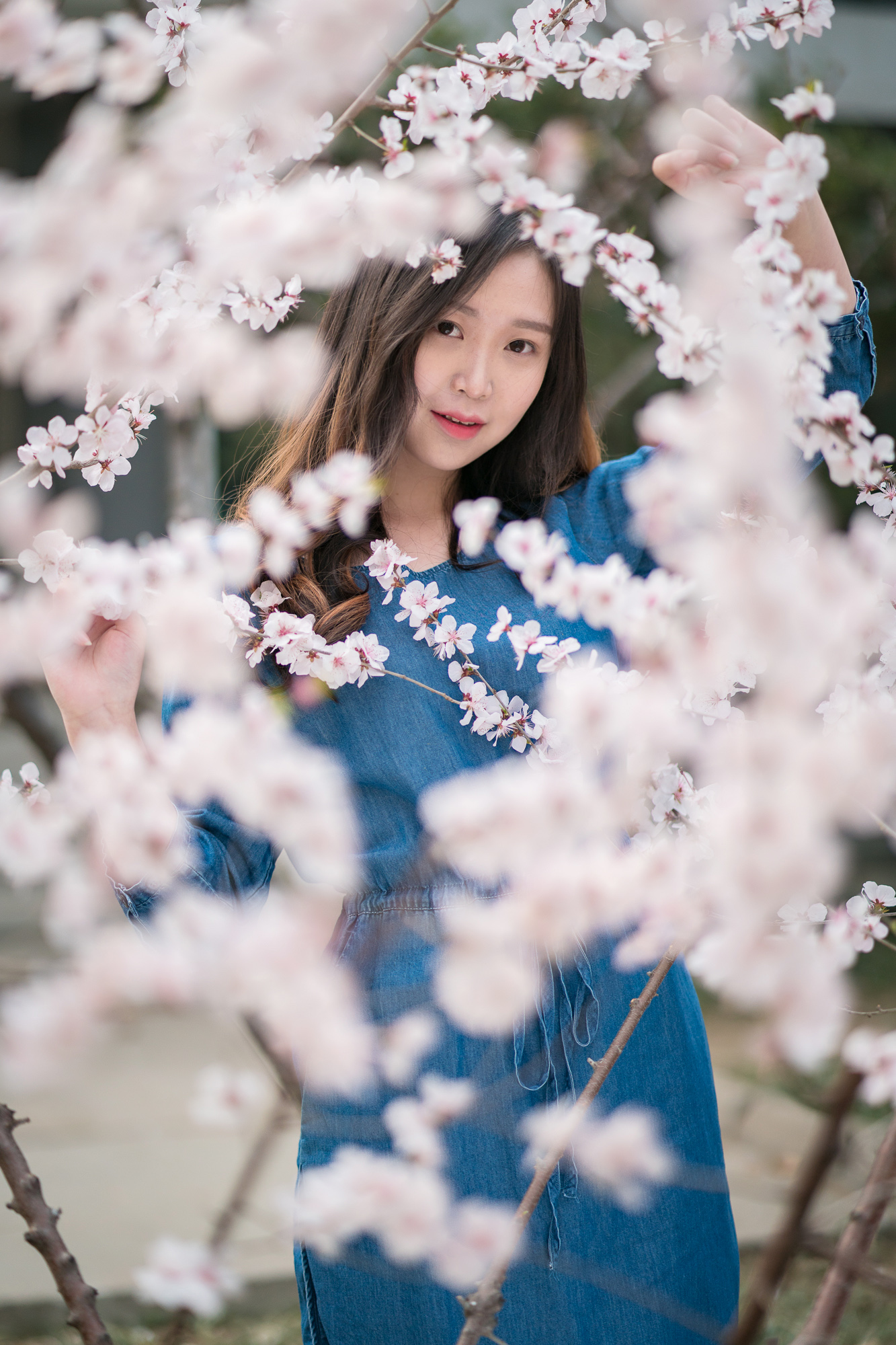 索尼fe85mmf18镜头正式开启预售,索尼fe85mmf1.8风景