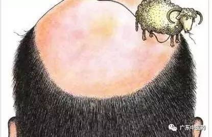 「封面」脱发怎么办?看看国医大师、“皮肤圣手”禤国维怎么说