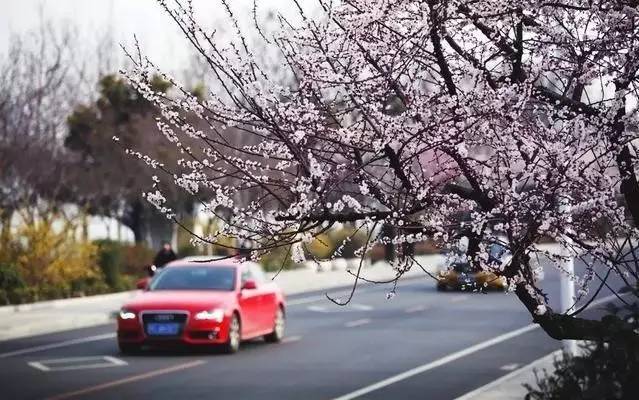 徐州这个村彻底火了，央视一天两次直播！大徐州你咋这么牛